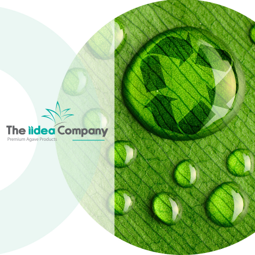 The Iidea Company   